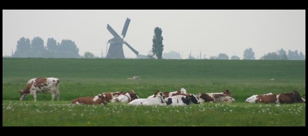 ChristenUnie Zuid-Holland verkiezingsprogramma onderdeel landbouw