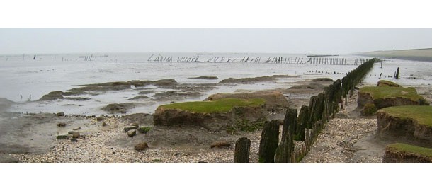 waddenzee