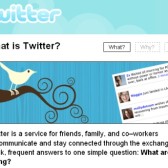 twitter2
